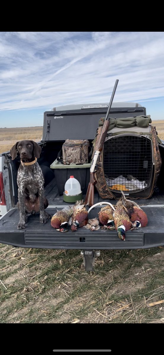 Springst1Jarrod's tweet image. I get to take on 2022 with my best friend!