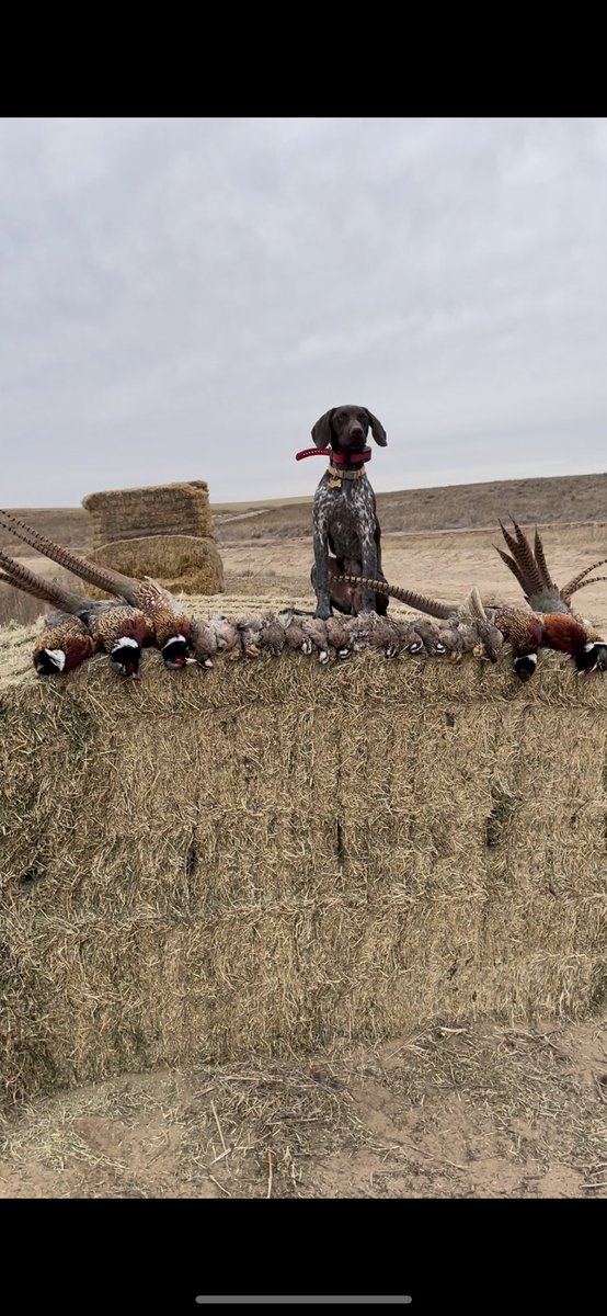 Springst1Jarrod's tweet image. I get to take on 2022 with my best friend!