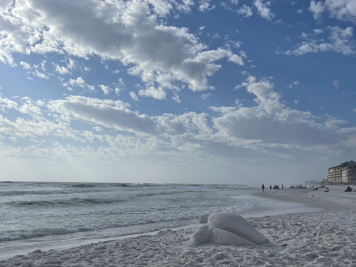 CorieHaynes's tweet photo. There’s a superstition that says whatever you do on New Year’s Day, you’ll do all year long… I sure hope it’s true! Beach afternoon, sunshine, toes in the sand and mimosa in my hand! Perfect ♥️😍☀️
#HappyNewYear #Januarytan #beachinit https://t.co/jBx0all8aP