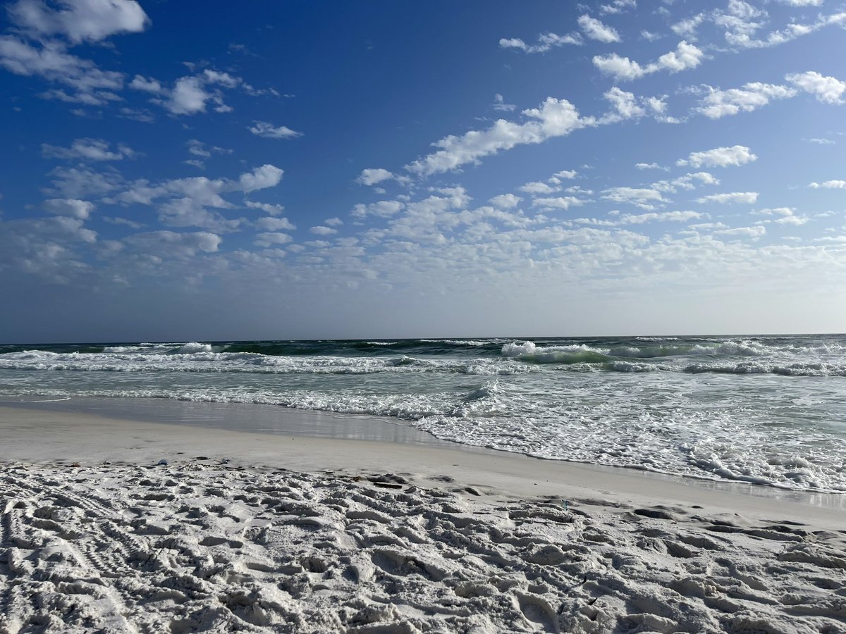 CorieHaynes's tweet photo. There’s a superstition that says whatever you do on New Year’s Day, you’ll do all year long… I sure hope it’s true! Beach afternoon, sunshine, toes in the sand and mimosa in my hand! Perfect ♥️😍☀️
#HappyNewYear #Januarytan #beachinit https://t.co/jBx0all8aP