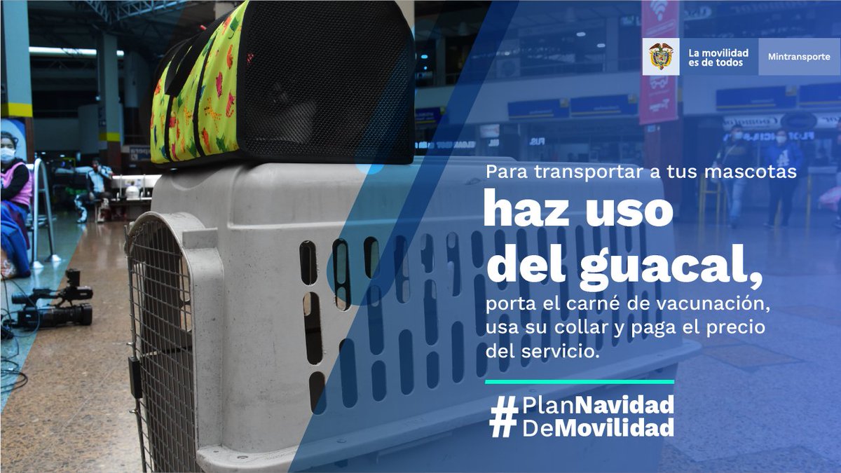 RUTADELSOLII's tweet photo. #PlanNavidadDeMovilidad Ten presente en esta temporada navideña que tienes derecho a que la empresa de transporte publico te informe sobre sus políticas, horarios, costos y condiciones especificas para el transporte de mascotas, en caso de así permitirlo. https://t.co/iNuswOCJq9