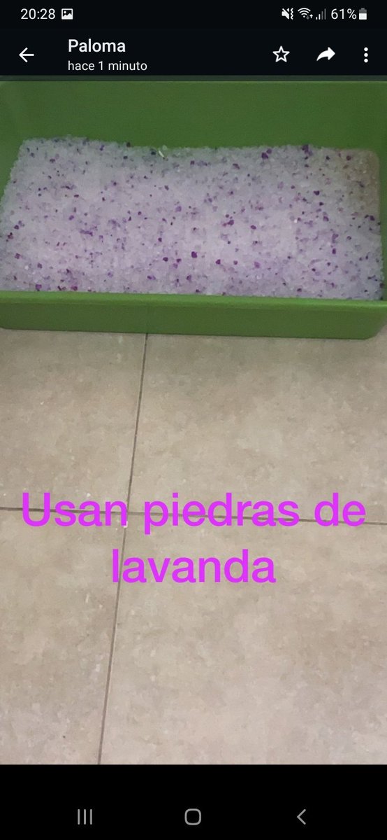 JoacoMendez10's tweet photo. Mi hermana se fue de viaje y me pidio que le cuide los 2 gatos.... https://t.co/CbCZU4fqRn