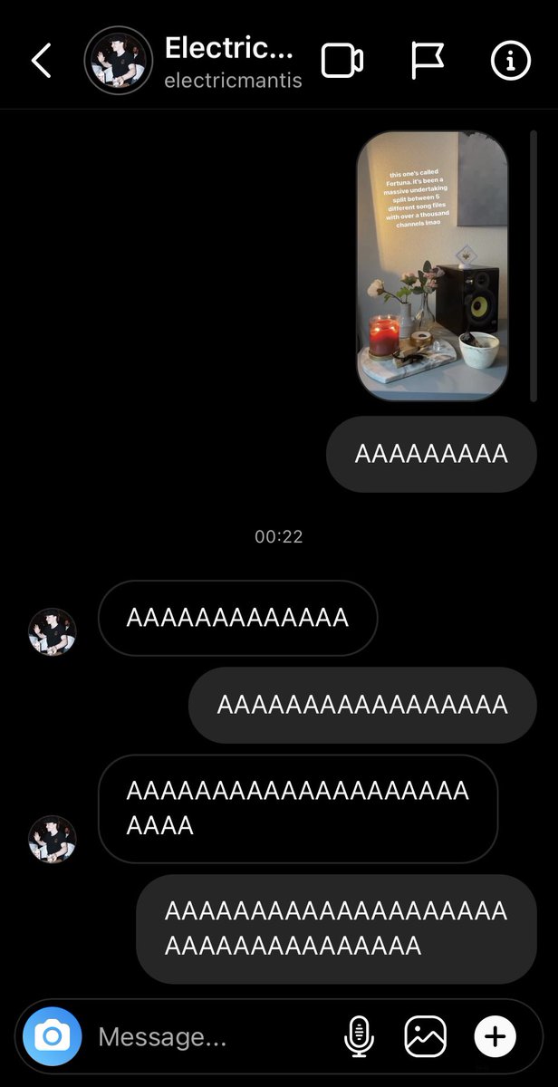 camoufly 🌟 tweet media