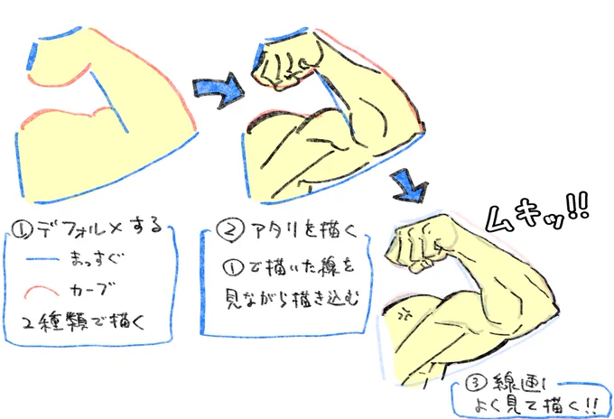 【スポンジ並みに画力を吸収する】

サミィーさんのやべぇ練習法は
わたしにはとても出来ないので、
できる方法を紹介します。

ポイントは
「最初のハードルを下げまくること」

①ではまったくムキムキしてません。
でも良いんです!

なぜなら、大切なのは
③でムキムキさせることだから!!! https://t.co/s2ahWlLoFh 