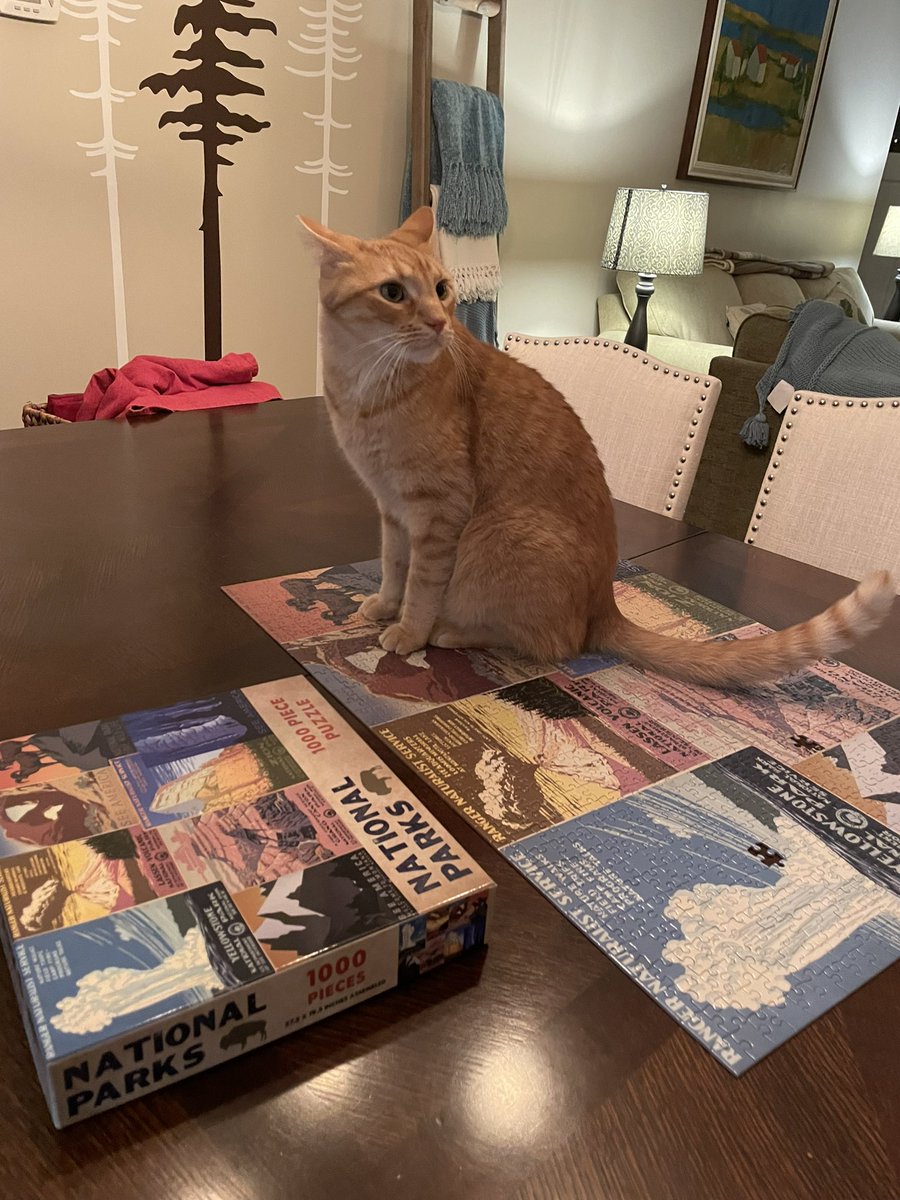 marywallerpr's tweet photo. Accomplishment…it’s all perspective. Like when you and fam finish a 1,000-piece national park puzzle and “somebody”stoke/hid/helped the dogs eat 4 pieces… #enjoytheprocess https://t.co/nvJ89Yp8Ab