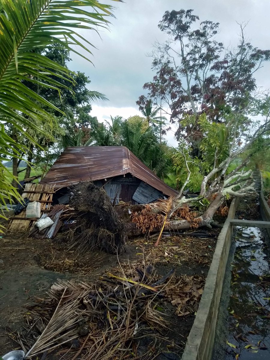 heyenjey's tweet photo. @gmanews @ABSCBNNews @TV5manila hi guys, our helper sent this to us, this is the home of her aunt who takes care of her kids. It’s been damaged by typhoon #OdettePH. It’s located at Bayawan, Negros Occidental. Hope that through your contacts, we can help them. Thank you so much. https://t.co/3ZuSp81TwT