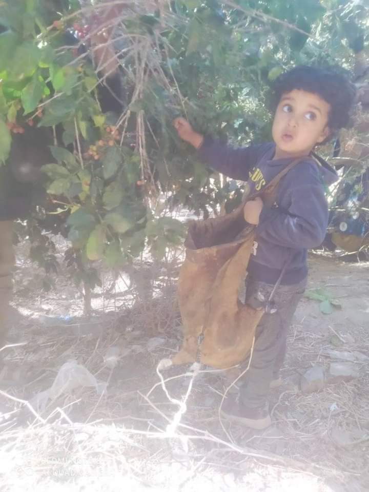 sdsd43912's tweet photo. قضية اختطاف الطفل عبدالله محسن العصري قضية كل يافعي صغير وكبير ويجب التحري فيها بكل جديه من قبل الاهالي والامن في مديرية سباح يافع https://t.co/khNf4umLkk