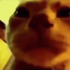 Flipping (@fairymanman) on Twitter photo 