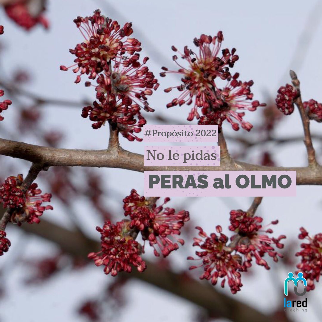 Laredcoaching's tweet photo. Aceptar al otro, sin querer cambiarlo, aceptar que la visión del mundo, los deseos, el libre albedrío del otro le pertenece al otro y no a mí, es un gran 𝐚𝐜𝐭𝐨 𝐝𝐞 𝐚𝐦𝐨𝐫. #aceptar #expectativas #perasalolmo https://t.co/CqTYRt5Ono