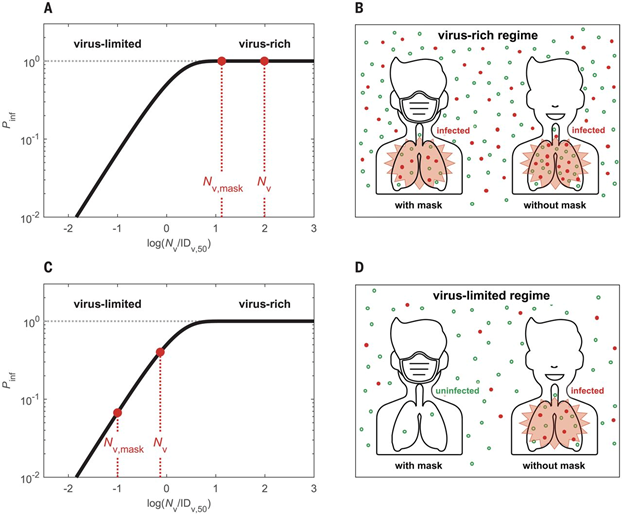 The solid curves represent the infection probability as a function of inhaled virus number scaled by median infectious dose  at which Pinf = 50%. In the virus-rich regime with and without masks Pinf remains close to ~1 even if masks are used. Lets think of some other options!