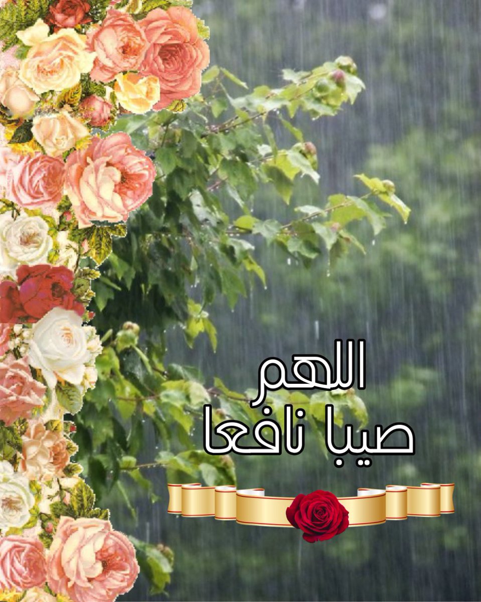 am272z's tweet photo. مطرنا بفضل الله ورحمته 🌺 https://t.co/qIzG8dJSOq