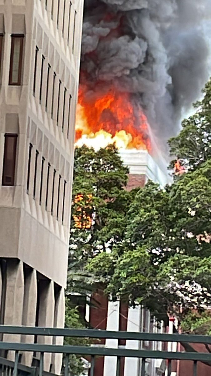 Willie_Spies's tweet photo. Parliament is burning. What a coincidence? https://t.co/WZdIJ13f4b