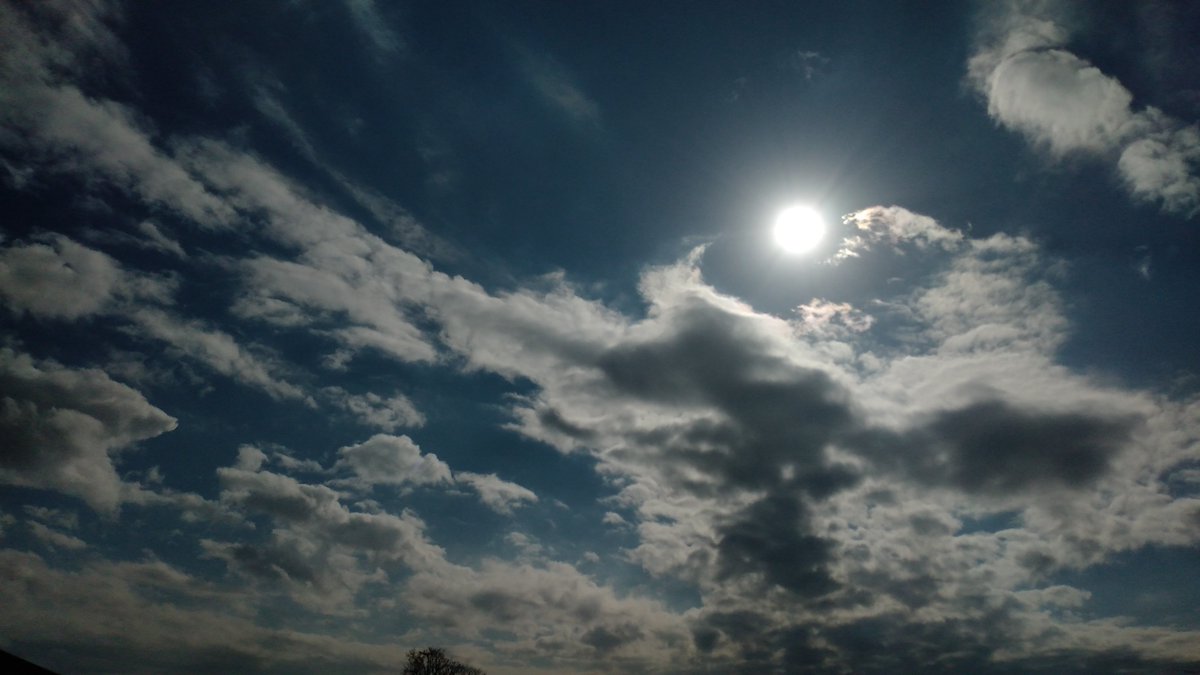 tanappe's tweet photo. 試しにArrowsM05にProCam X Liteというアプリをいれてみた。ISOをAutoにして撮影。
左がXP70、右がProCam X Lite(ISO Auto:JPG90%)。
ちょっと暗いけどいい感じかも。
Pixel3aにも入れてみるかな。
#イマソラ
#XP70
#ProCamX https://t.co/akxNaNQyhN