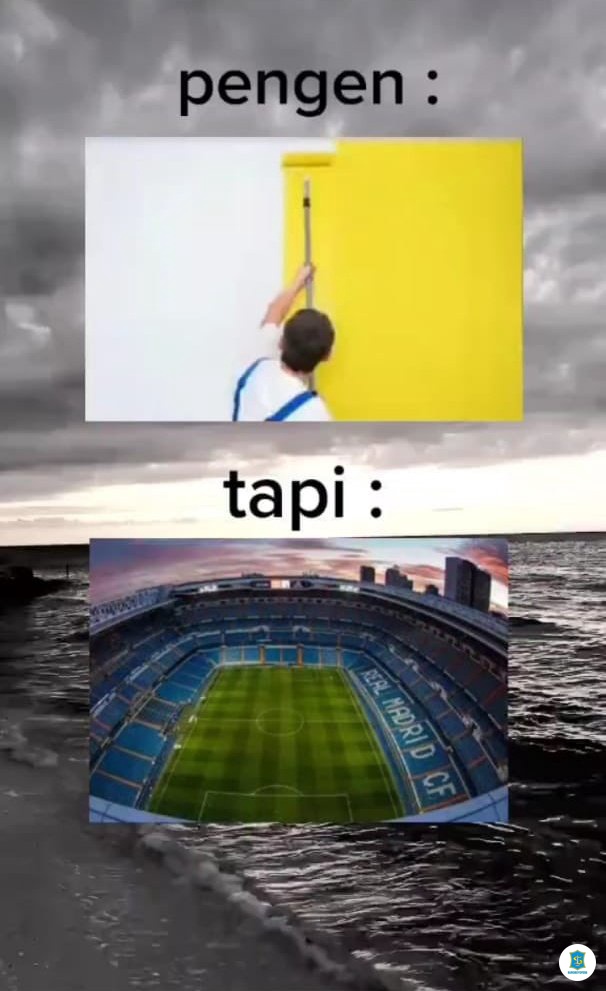 🦈 SUROBOYOFESS 🐊 tweet media