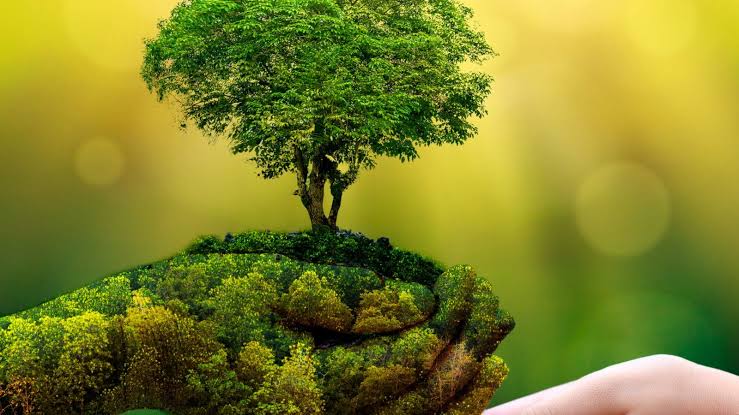 Sandeep__3's tweet photo. Save earth
Save life https://t.co/MnyckdEgaY