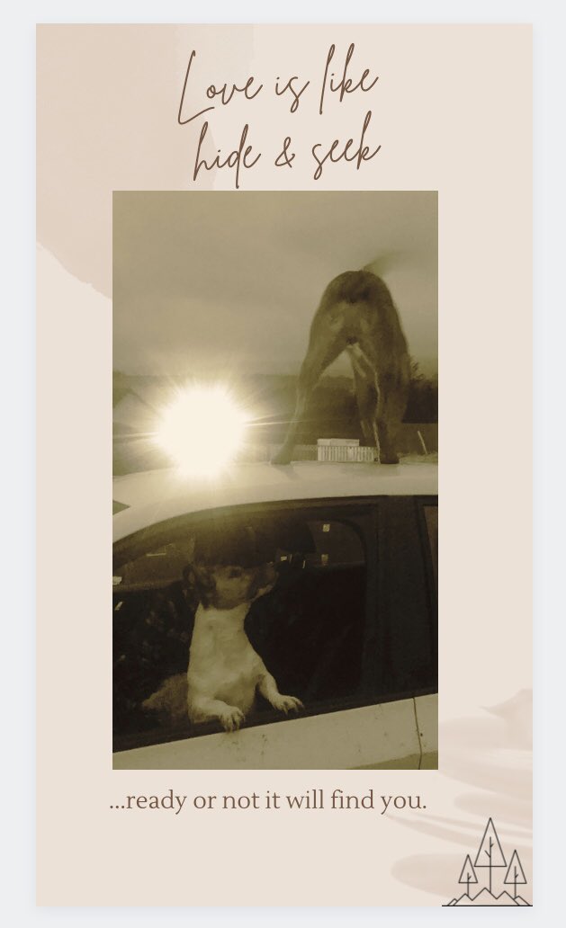catlowry54's tweet photo. #Goodmorning #love #loveanimals #learnfromanimals ๐ https://t.co/1wxfZrejzB