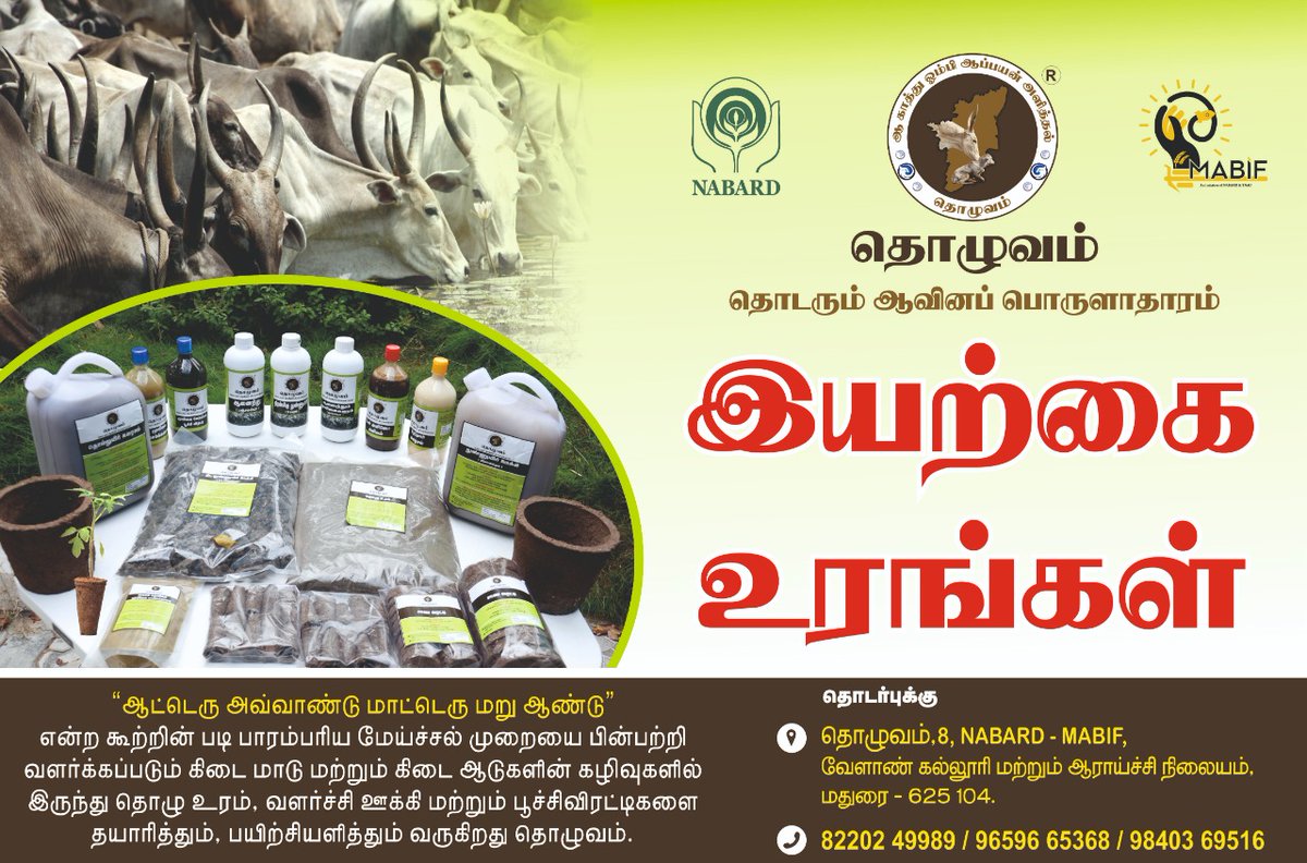 KabilanMadurai7's tweet photo. பாரம்பரிய மேய்ச்சலில் ஈடுபடும் புலிக்குளம் கிடை மாடுகளின் கழிவுகளில் இருந்து தமிழ் நிலத்தை வளப்படுத்தி, இயற்கை விவசாயம் மூலம் ஆரோக்கியமான தலைமுறைகளை உருவாக்கிட உதவும் ‘தொழுவம் இயற்கை உரம்‘  விற்பனை தொடக்கம். 

தொழுவம் தொடர்புக்கு: 
82202 49989, +91 96596 65368, +91 98403 69516 https://t.co/ey880LAoWk