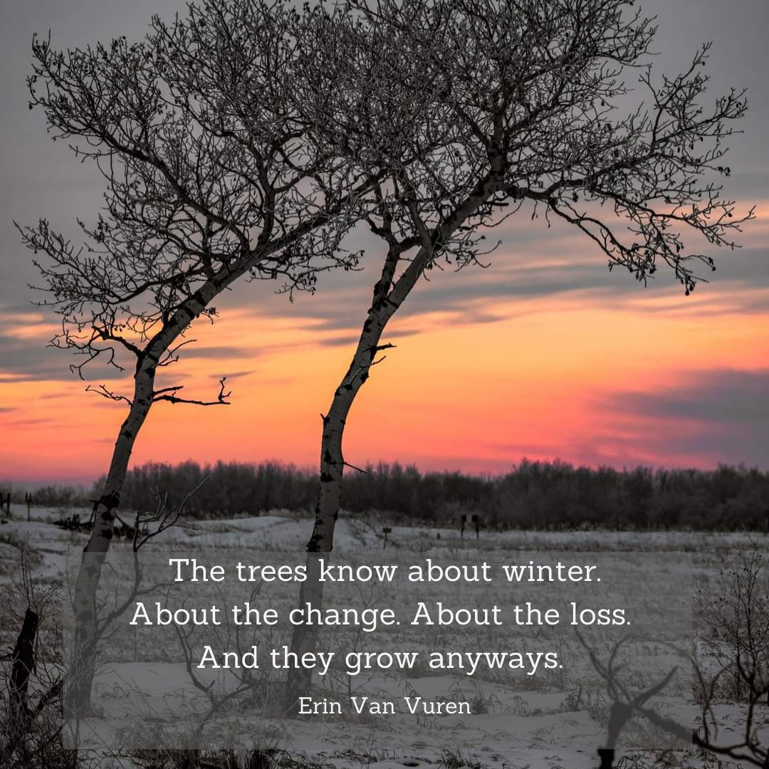 k8esue's tweet photo. Kicking off #2022 with some #winterywords for the month of January.
All photos were taken on the #Restoring71 trails. https://t.co/zYxBnGpoes