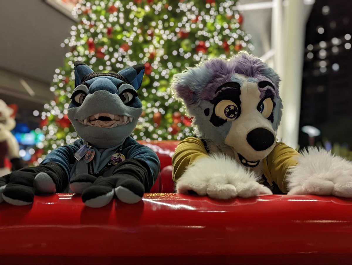 Andromedoggo's tweet photo. Late holiday photoshoot! Ft. @TeenyBeebFur @WOLFW00F @wolf199815 and @RoseVire
Photos by @CassMutt and WOLFW00F https://t.co/jtWWWlWrjy