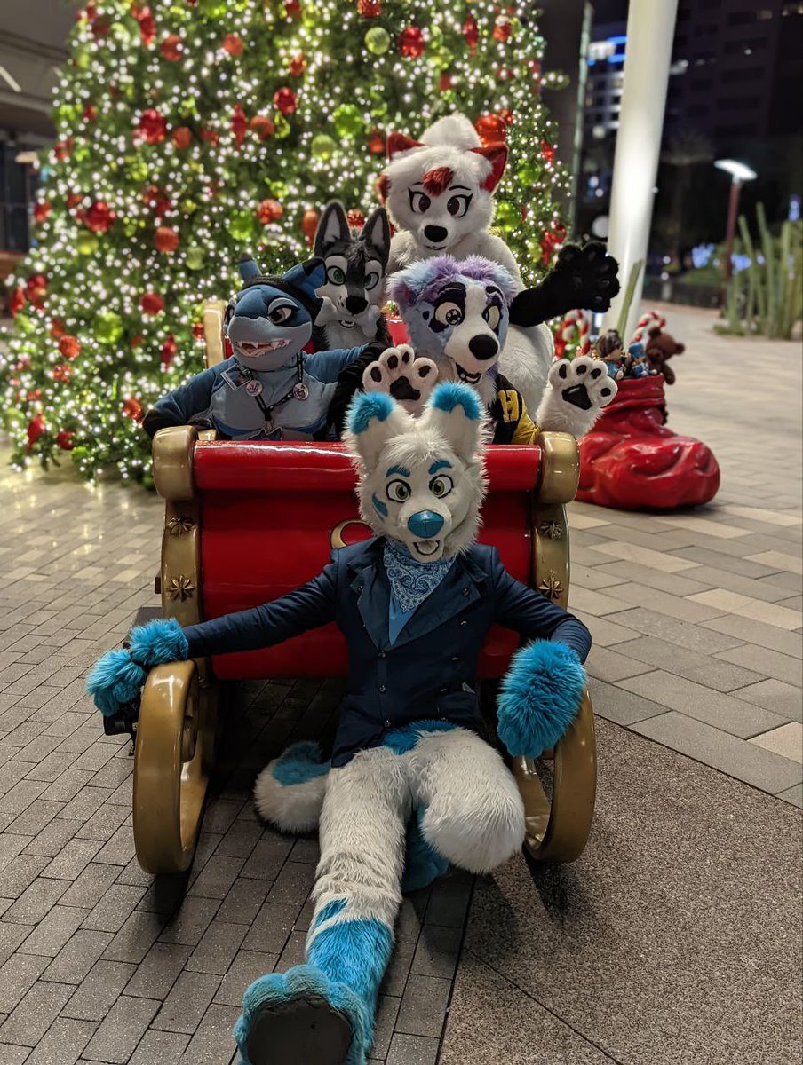 Andromedoggo's tweet photo. Late holiday photoshoot! Ft. @TeenyBeebFur @WOLFW00F @wolf199815 and @RoseVire
Photos by @CassMutt and WOLFW00F https://t.co/jtWWWlWrjy