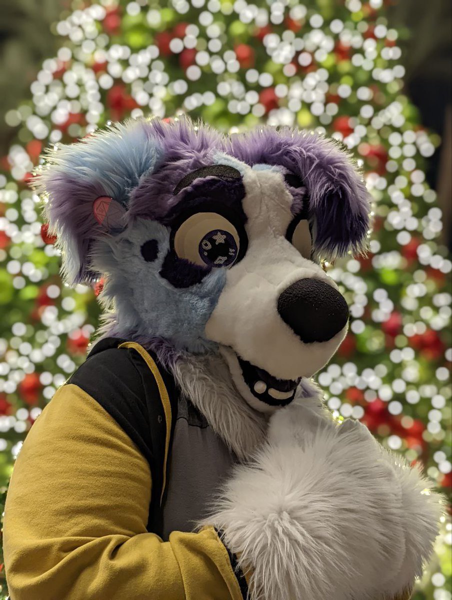Andromedoggo's tweet photo. Late holiday photoshoot! Ft. @TeenyBeebFur @WOLFW00F @wolf199815 and @RoseVire
Photos by @CassMutt and WOLFW00F https://t.co/jtWWWlWrjy