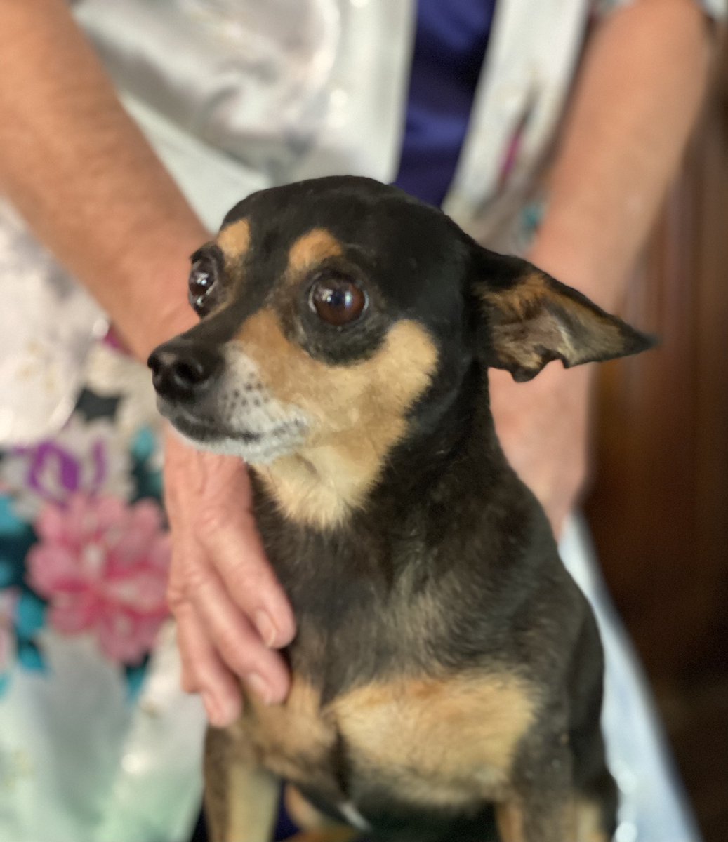 Richard Andari tweet media