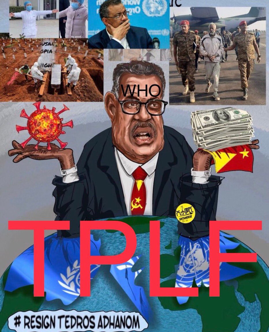TseAbeba's tweet photo. @DrShumete @WHO @hrw @DrTedros is busy with #TPLFTerrosristGroup aganda https://t.co/GptHe8MERV