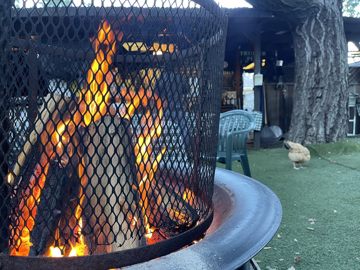 losgatosdining's tweet photo. Pizza, an oak wood fire and Mabel the chicken at Ralph DiTullio’s @NonnosItalian #redwoodestates #losgatos https://t.co/JRj2cBvf6g