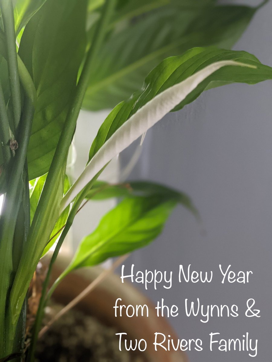 2riversburrito's tweet photo. Wishing everyone health &amp; happiness in 2022! https://t.co/B1oyAi9CEB