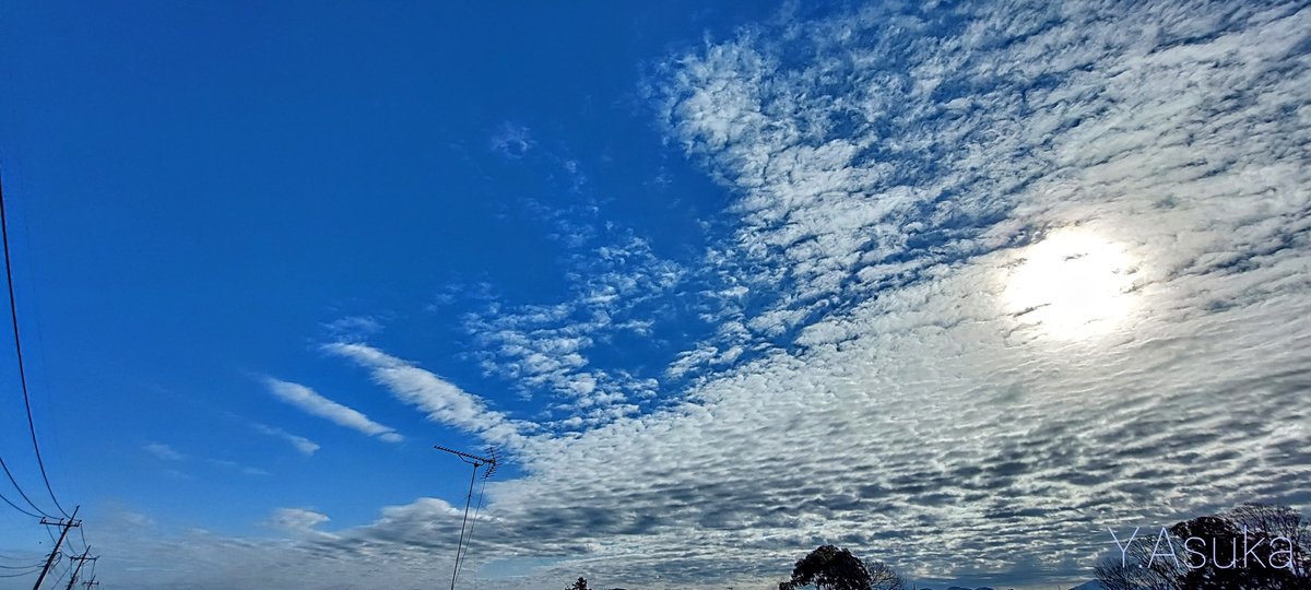 yumeasutw's tweet photo. お日様燦々✨南から東へ #ひつじ雲 がゆったりと流れ行く日曜日の朝🌤️
#日光連山 は #雪化粧 ❄️

予想最高/最低気温🌡️7℃/-6℃
晴れ☀️
穏やかな冬晴れの一日となりそうです。

#空の名前
#雲の教室
#天気の図鑑 #雲友
#高積雲
#青空 #Sunshine
#カラス
#野鳥
#鉄塔 #電柱 #電線
#a2022 #a0102 #a202201 https://t.co/dJSQkIJP0b