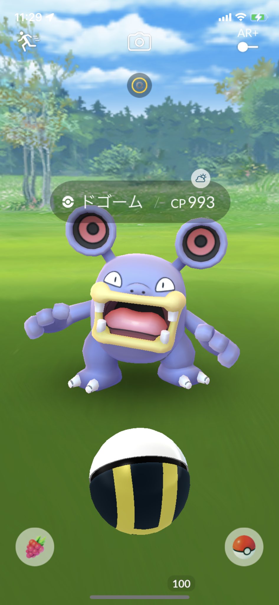 𝕚𝕔𝕙𝕚 小谷の方 ドゴームさん 正月も休みないんやな お疲れ様です ポケモンgo ドゴーム T Co Dqizxxuwol Twitter