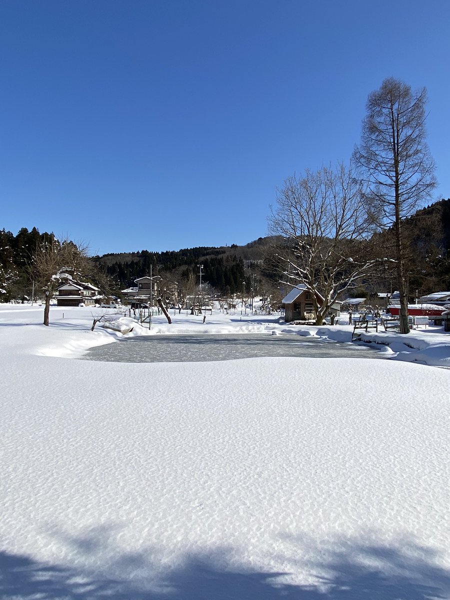sakuko115's tweet photo. 謹賀新年

コイキングのマンホールからずっとTwitterしてなかった？🥺

うさたんは、生まれて2ヶ月半でもう親と見分けがつかないくらい。

父が地元の小学校にうさぎを貸してすぐに産まれたので、小学校で出産＆子育て...となり、終業式に合わせて帰ってきた時には立派に育ってました🐰 https://t.co/t3akBJ5qwV