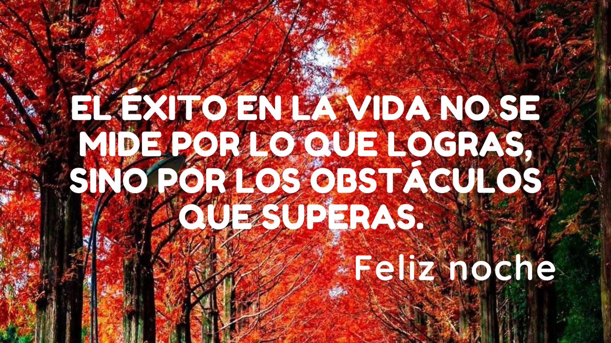 josegrasso tweet picture