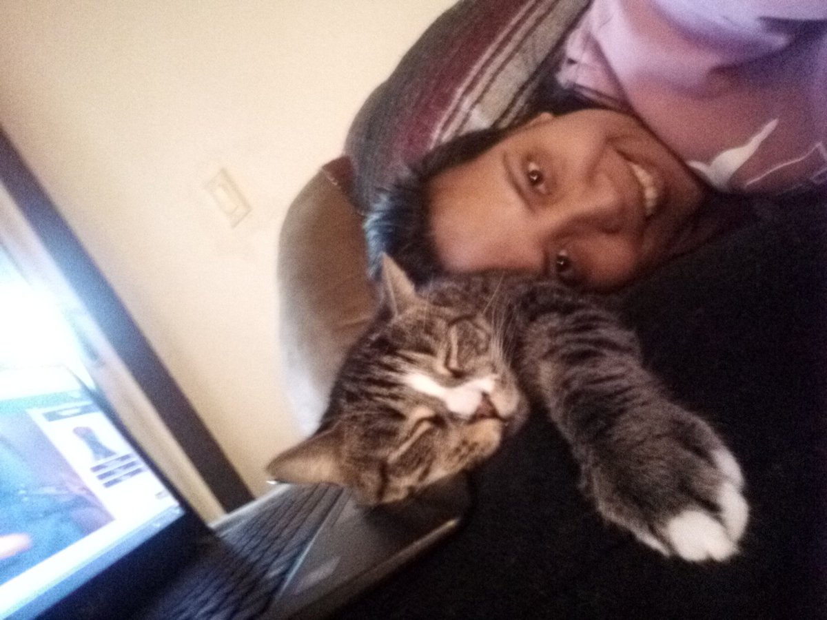MarivicGuevara's tweet image. Almost 5 years with this cute lil mama #Brooklyngirl #furbaby typical #nap position #Caturday