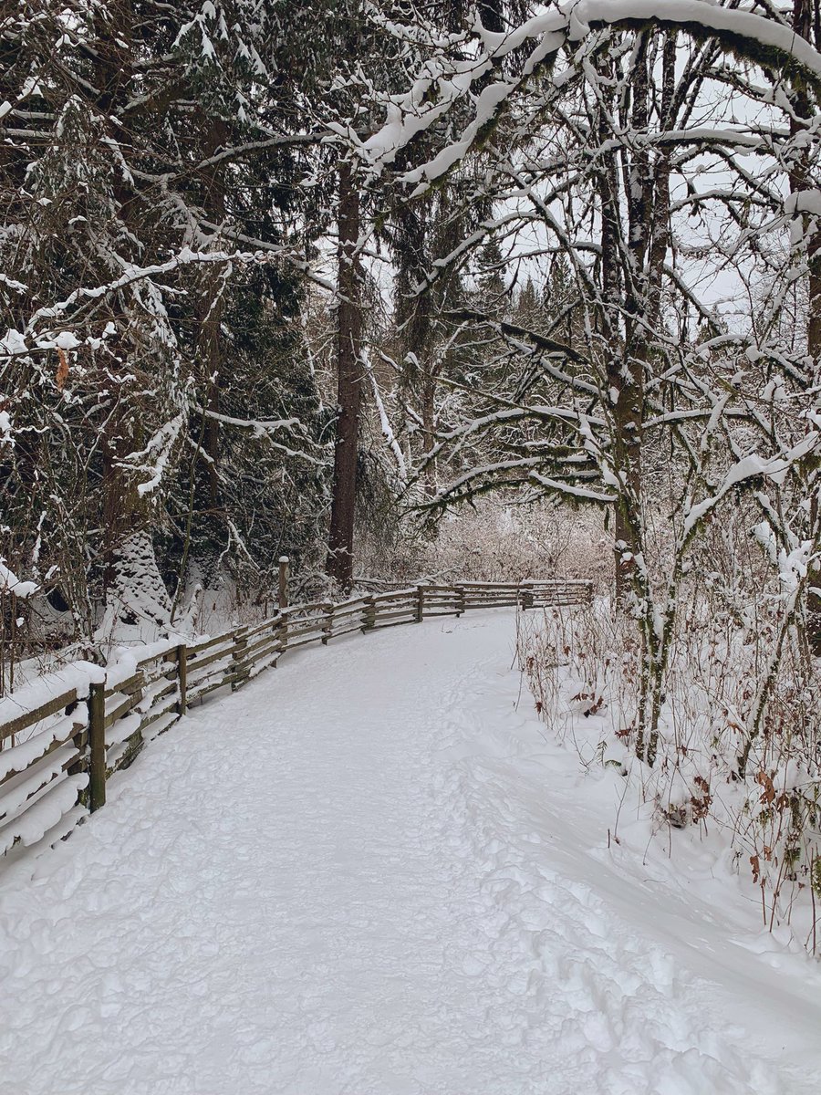 Kylem87's tweet photo. Cloudy first day of the year with a low this morning around -10°. Most of the day around -2° currently still -2° #SurreyBC #BCStorm #ShareYourWeather #NewYearsDay2022  #tynehead #fortlangley https://t.co/2qDeLNPrk1