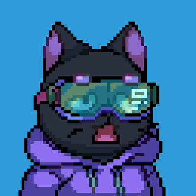 ChrisTheNFTer's tweet photo. The Space Kitties are the move! Bought mine for .38sol https://t.co/DEScgD2ndJ