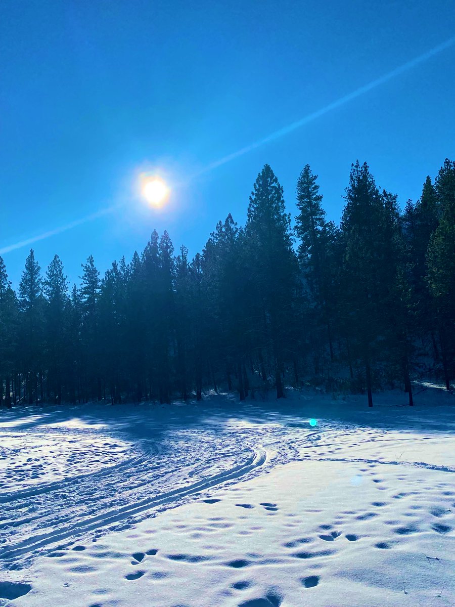 onthetripside's tweet photo. Starting the year off Snowshoeing! ❄️ Let the adventures of 2022 begin.
.
.
#showshoeing #adventure #travelblogger #explorewa #pnw #pnwlife #adventureblogger #snow #Spokane https://t.co/fpfCJmMQ9U