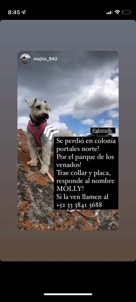 PauZt's tweet photo. @La_Portales Hola, me ayudarían a difundir por favor https://t.co/ioIvzzOac5