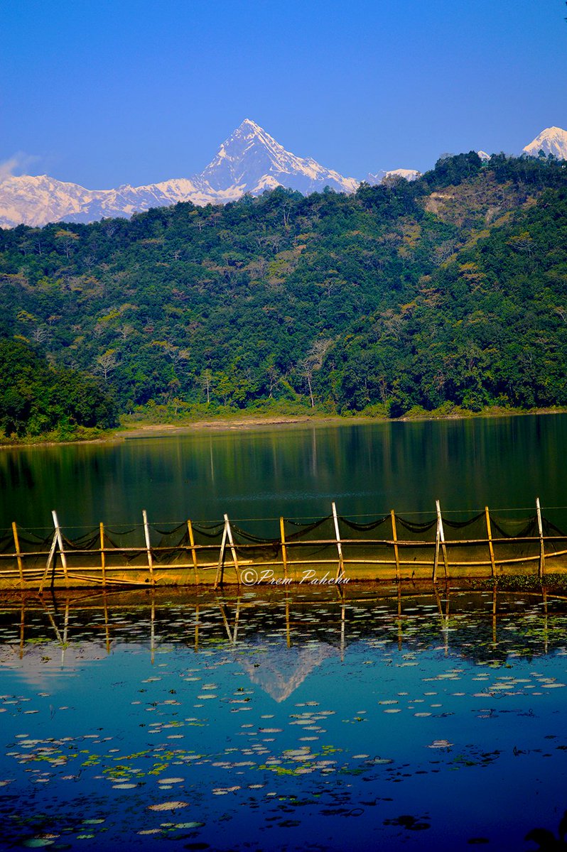 PremPahchu's tweet photo. रुपाताल, माछापुच्छ्रे र छायाँ
#रुपाताल #माछापुच्छ्रे
#rupalake #landscape
#PremPahchuPhotography https://t.co/hmAVTygJrh