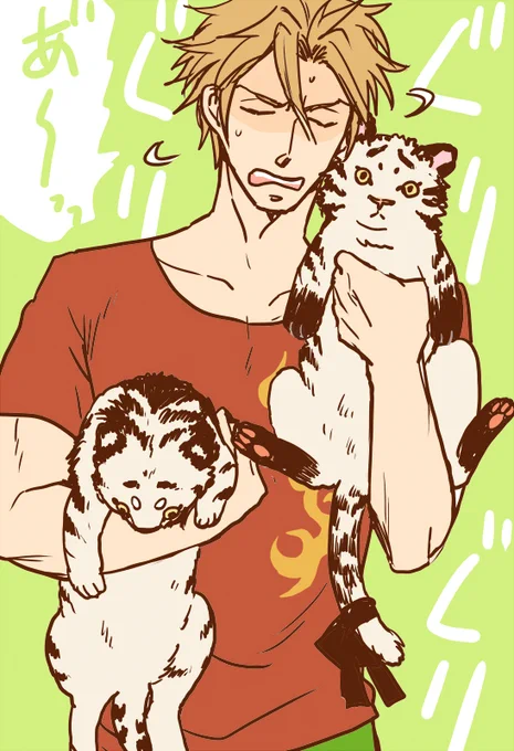 寅年なので過去に描いた五虎ちゃんとさんめっそ再掲。
今年もよろしくお願いいたします🐯 