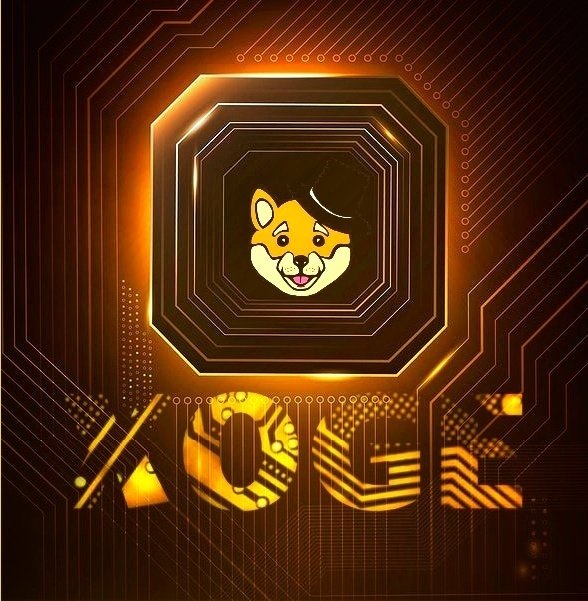 Xoge tweet media