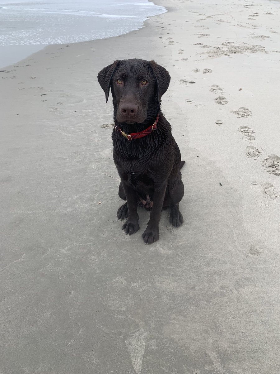 Jaxs and I took a spontaneous trip to NJ to see Dad. Jaxs couldn't stop giving dad kisses and following him! I think it's exactly what dad and I both needed 💕💕💕
