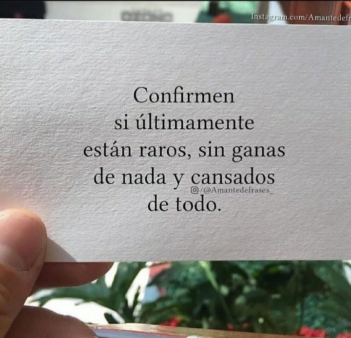 GatisAndreita's tweet photo. https://t.co/R9dh8sZXRl