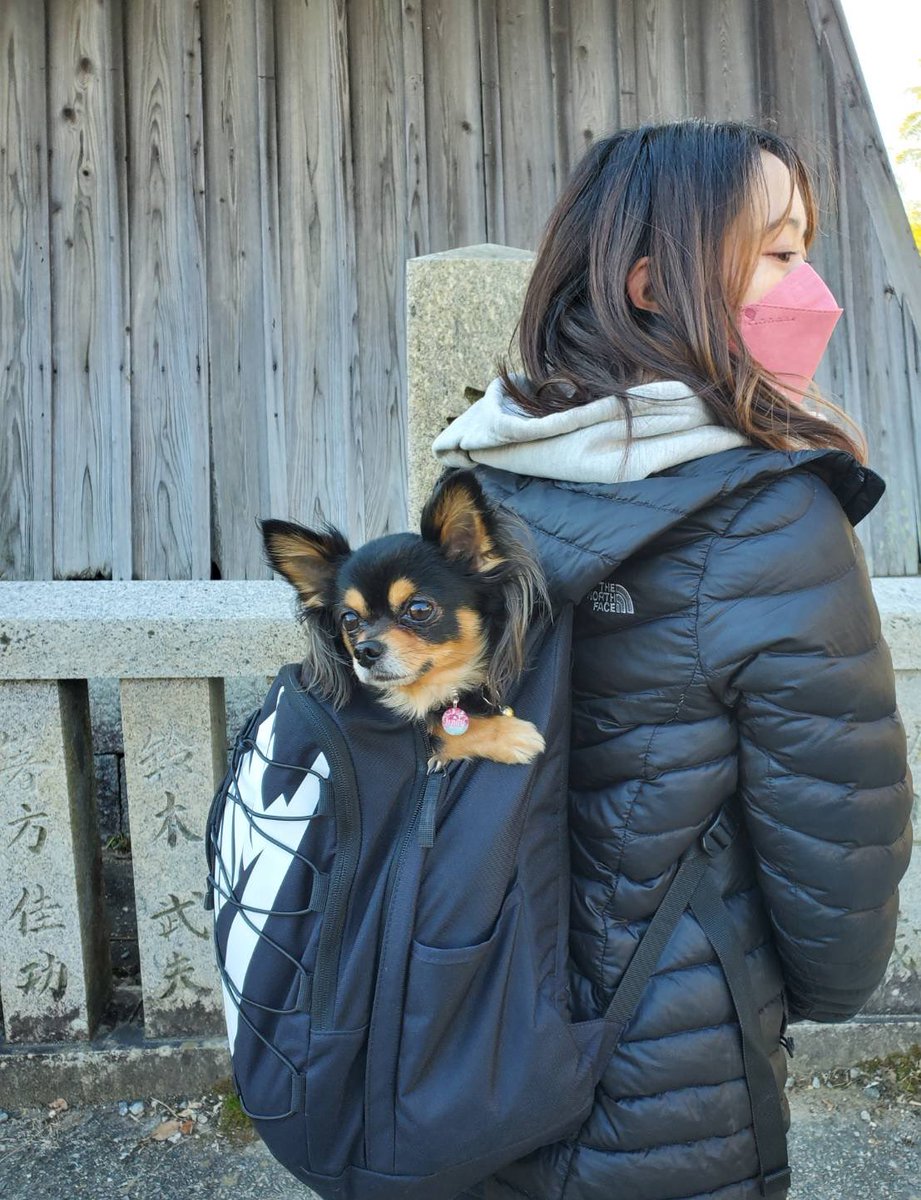 少し遅くなりましたが、新年あけましておめでとうございます🎍🌅

目標は、今年も全日本に出場して、自分のできること最大限の演技をすることです‼︎
一つ一つの練習・大会を大切に過ごしていきたいです。

本年もどうぞ宜しくお願い致します🤲

※金平山の階段が大変で、途中で歩かなくなったマロ🐶