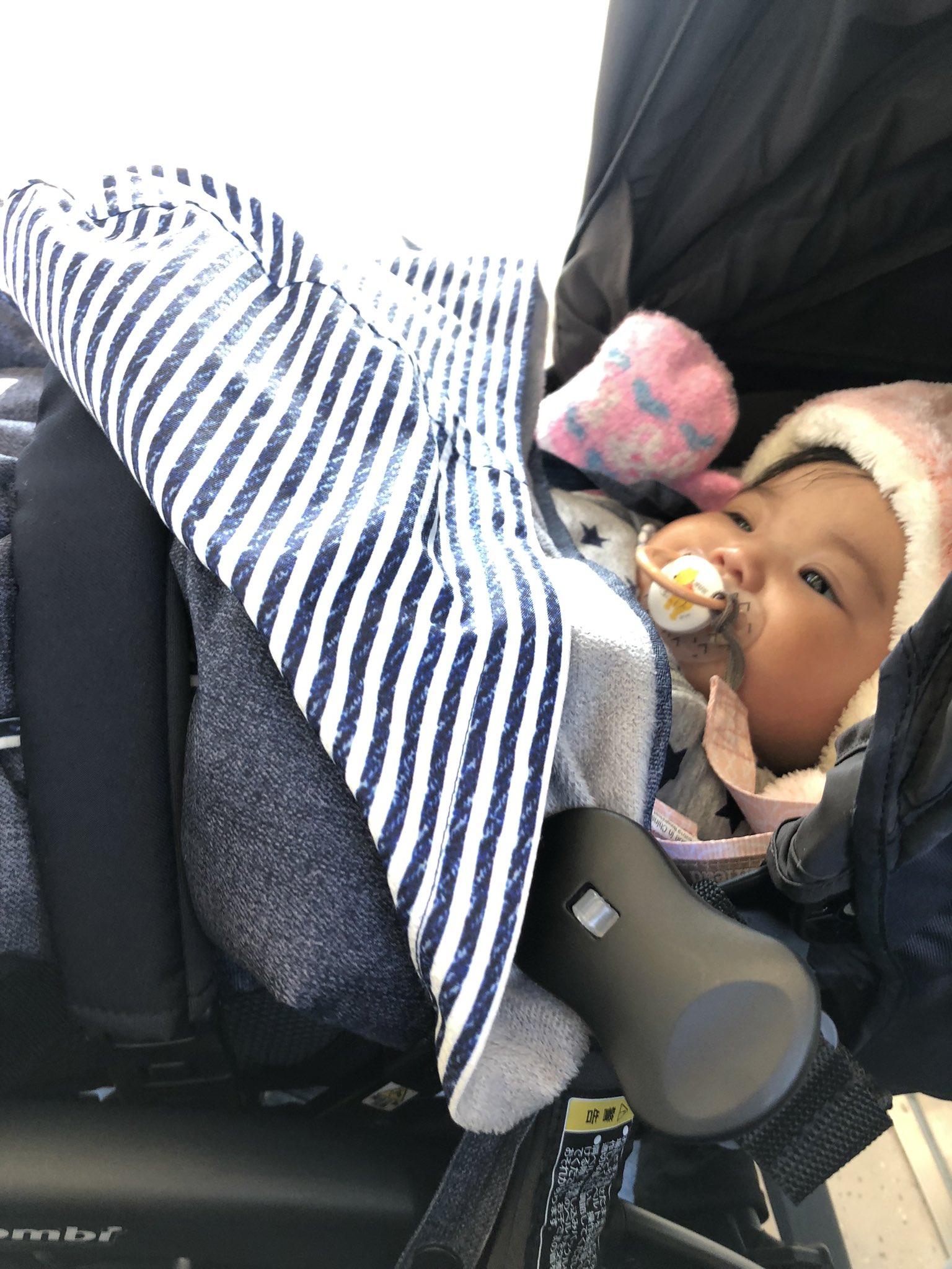Dad Cco 子育て応援 Dadcco Twitter
