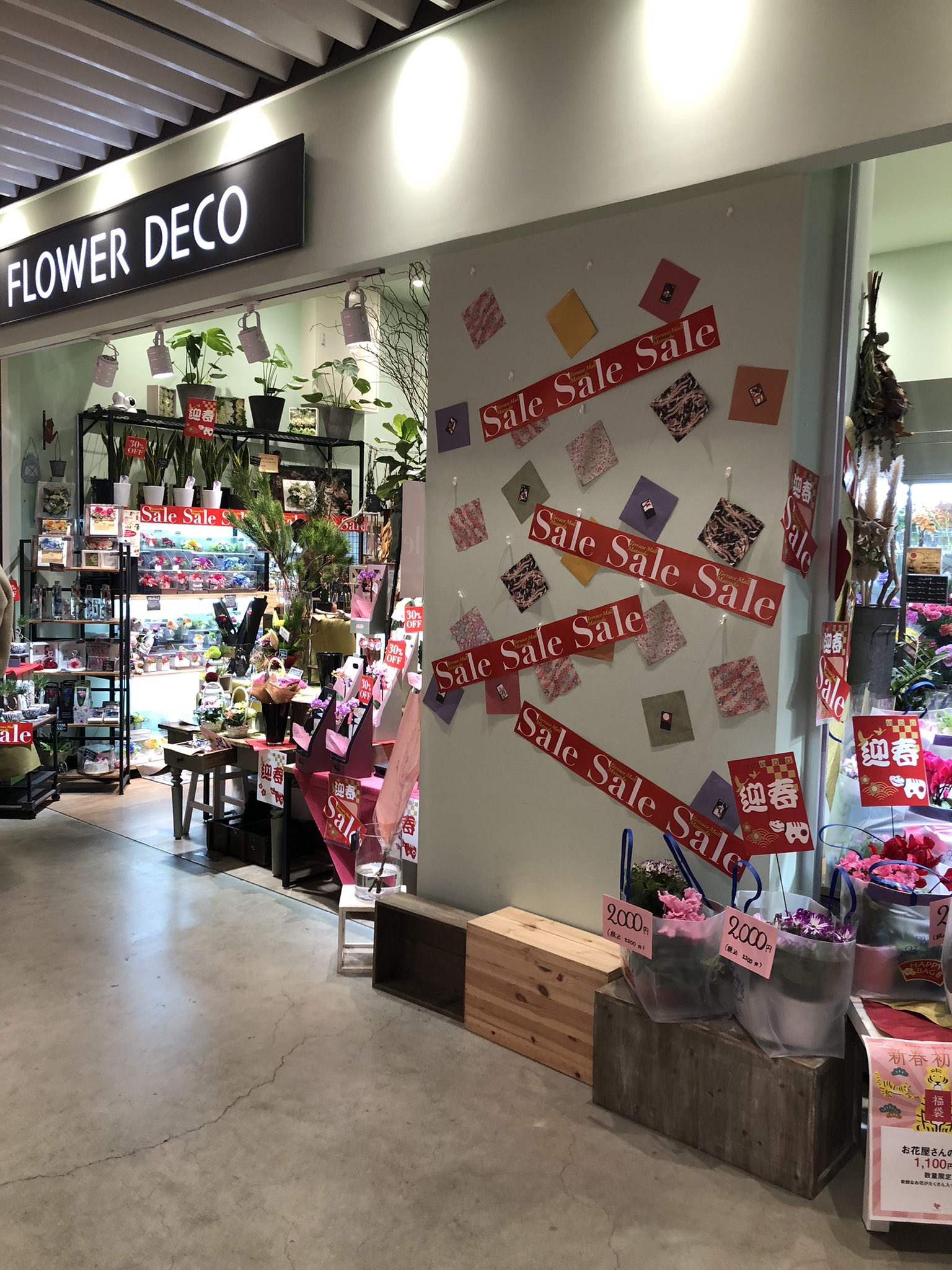10年目 たこ焼き屋ドットコム 楽だこ小金原店 店長 昨日 テラスモール松戸 お花屋さん Flower Decoさんに 行き 店長といつもの お姉さんがいたので お花を買ったら お正月飾り 頂きました このお店 オシャレなお花が いっぱい売っていて とても好きなお