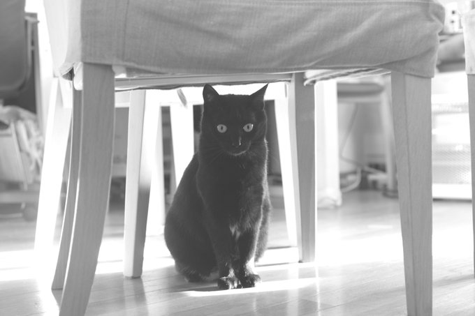 ホ 高画質 のtwitterイラスト検索結果