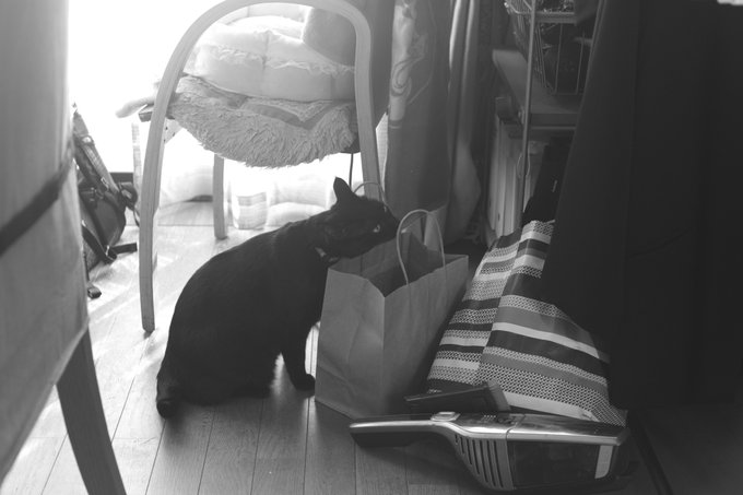 ホ 高画質 のtwitterイラスト検索結果