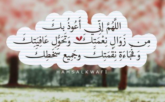 Raaed_Bahar's tweet photo. # صباح _ الخير https://t.co/G6ne5G5x2W