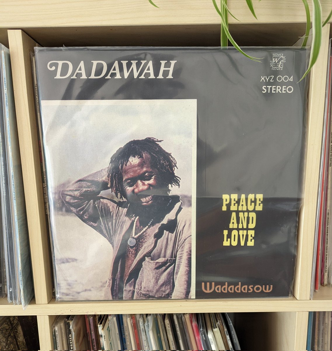 hugewilson's tweet photo. @wcchen Peace and Love is a really special record, will give it a spin later - warm day, cold beer &amp; Dadawah huzzah https://t.co/S4AyQZJPFY